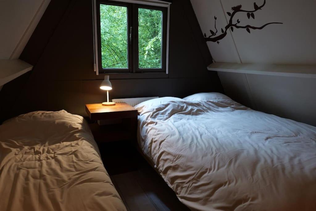 Chalet Sequoia 138 A デュルビュイ エクステリア 写真